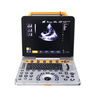 15 Zoll P60V tragbares Veterinärfarb-Doppler-Ultraschallsystem für Kleintierkliniken