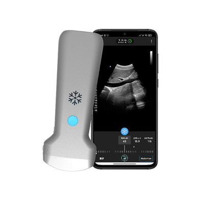 kaufen 179 mm kabelloser konvexer Hand-Ultraschallscanner | GPU-Bildverarbeitung | CE-zertifizierte tragbare WiFi-Ultraschallsonde online manufacture
