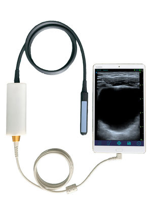 kaufen Tragbarer Veterinär-Ultraschallscanner mit linearer Rektalsonde für die Fortpflanzung von Rindern und Pferden online manufacture