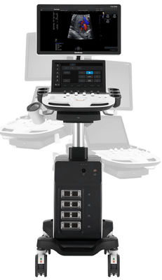 kaufen Auslese Laufkatze 5D Sonoscape Echo Machine P11 mit 4 Wandler-Verbindungsstücken online manufacture