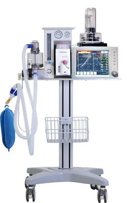 kaufen Veterinäranästhesiegerät mit 7-Zoll-Touchscreen für kleine und große Tiere online manufacture