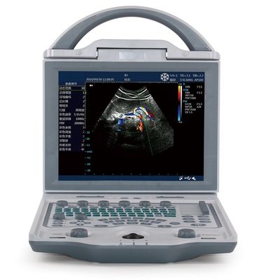 kaufen 10,4“ LED-Anzeigen-Veterinärultraschall-tragbare Ultraschall-Maschine für Schweine 4.5KG online manufacture