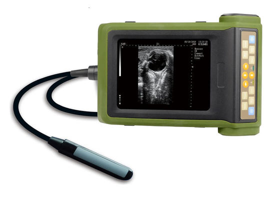 kaufen Tragbare Tier-Ultraschallmaschine zur Schwangerschaftsdiagnose und zur Follikelaspiration online manufacture