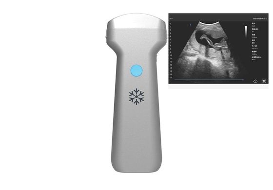kaufen Elektronische konvexe Reihen-konvexe drahtlose Ultraschall-Sonde 2MHz 3.6MHz 5MHz online manufacture