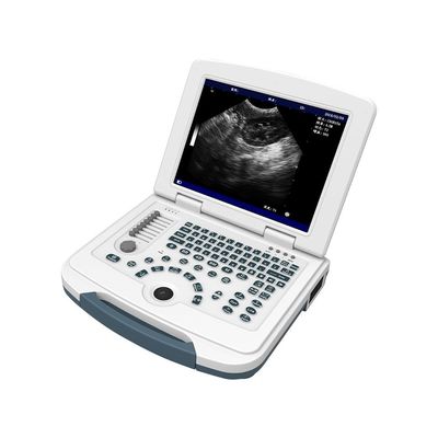 kaufen PC Plattform-Veterinärultraschall-Maschine 12,1“ LCD-Tierultraschall-Scanner online manufacture