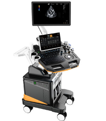 kaufen 3D/4D-Farbdoppler-Ultraschallgerät für die Veterinärmedizin, professionelles Kleintier-Bildgebungssystem mit 21,5-Zoll-LCD online manufacture