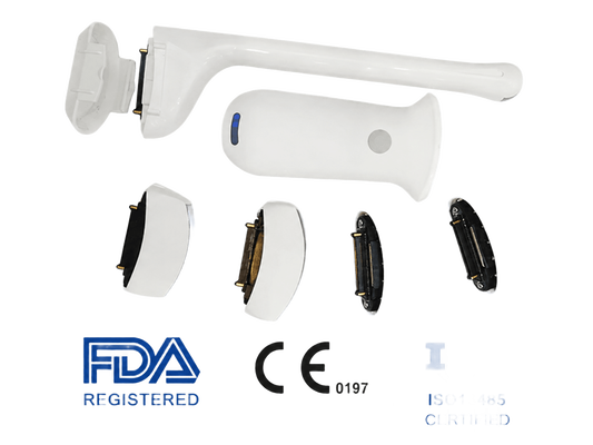 kaufen Kabelloser Hand-Ultraschallscanner mit 192 Elementen | Tragbares POCUS-System mit austauschbaren Sonden online manufacture