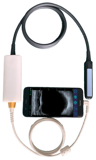 Tragbarer Veterinär-Ultraschallscanner mit linearer Rektalsonde für die Fortpflanzung von Rindern und Pferden