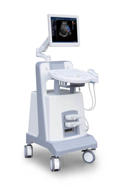 Eingangsstufe-Laufkatzen-Farb-Doppler-Ultraschall-Ultraschalldiagnoseinstrument 500GB