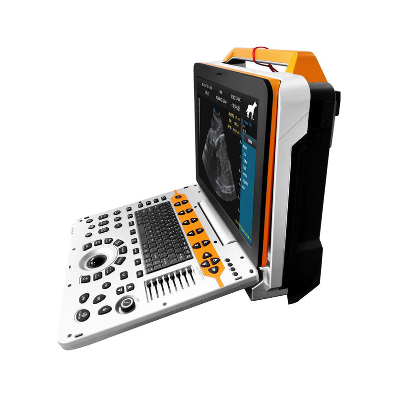 15 Zoll P60V tragbares Veterinärfarb-Doppler-Ultraschallsystem für Kleintierkliniken